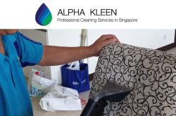 AlphaKleen Carpet Cleaning