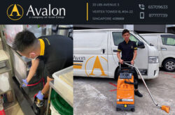 Avalon Pest Control Services