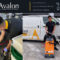 Avalon Pest Control Services