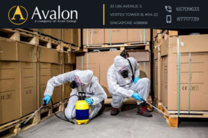 Avalon Services Pte Ltd