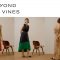 Beyond-The-Vines-Womens-Dresses