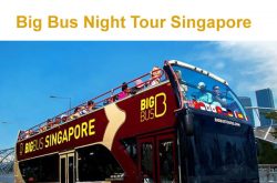 Big Bus Night Tour Singapore