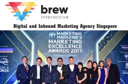 Brew Interactive - Digital Marketing Agency Singapore