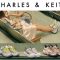 Charles and Keith - Mesh Netting Sneakers