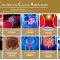 Colorectal Clinic Associates CCA - Singapore Colorectal Surgery Clinic