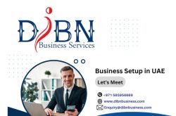 DIBN Business Services Dubai UAE