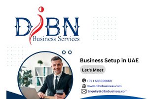 DIBN Business Services Dubai UAE