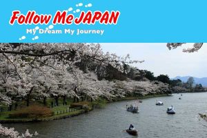 Follow Me Japan