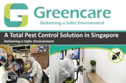 Greencare Pest Control & Cleaning