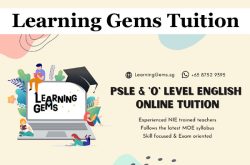Learning Gems Tuition