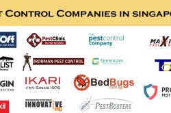 List of All Pest Control Companies in Singapore