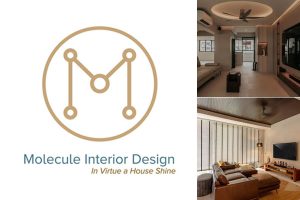 Molecule Interior Design