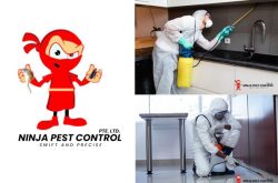 Ninja Pest Control Singapore
