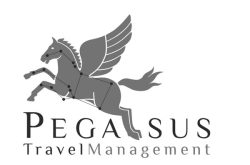 Pegasus Travel Management