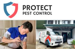 Protect Pest Control Singapore