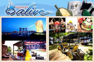 Singapore Alive Pte Ltd