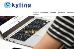 Skyline Business Consulting Pte Ltd