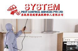 System Pest Control Singapore