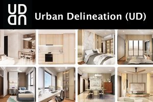 Urban Delineation Singapore