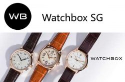 Watchbox SG